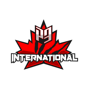 P3 International logo